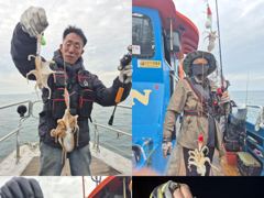 <크라운호> 쭈꾸미 종일 실시간 조황(25일)-금일 오후배 쭈꾸미 자리있습니다.