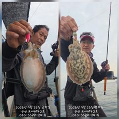 [군산포세이돈2호]쭈꾸미실시간~잘나와요~~사이즈도 굿