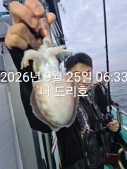 25일, 즐건 한가위 되세요~군산주꾸미~갑이랑 나오네요~실시간~군산낚시프라자 나드리호