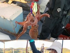 [진해] "" 돌문어 "" 내일나갑니다.(내일예약가능)