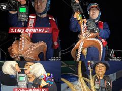 24일 계속해서 쓸어담듯 200수이상 대~박치고 잡고온 굵직한 야간~돌문어 잡으러 출조 갑니다@ 토,일요일~몇 자리 예약가능
