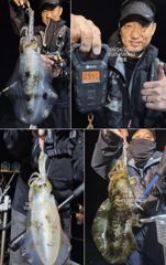 팁런무늬!!좋습니다!!27일(일)부터 예약가능!!