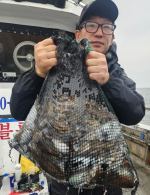 [격포 블루마린호] 9/25 100갑