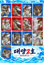 오이도 대양2호 조황사진(26.09.25)