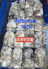 군산킹스타호(9/25반일반) 쭈꾸미 굿~마무리조황 (내일 1자리여유발생)