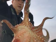 [진해] 추석돌문어 오늘도 장원 15수15수13수12수등 팍팍.. ( …