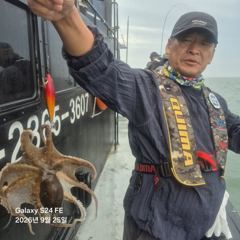 2026년9월25일블랙호조황사진입니다