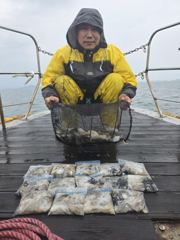 쭈 갑 조황입니다