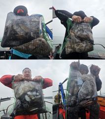 쭈꾸미 갑오징어대박!! 갑오징어만 90수 오바 ~~~~~~