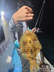 (통영팁런) 오늘도 좌사리도에서 무우, 고구마로 우당탕~
