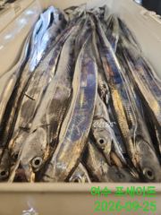 홈런 조황입니다