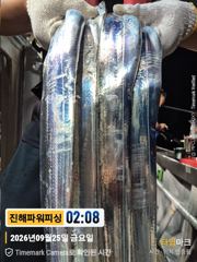 [갈치/텐빈/텐야]25일입항조황~만쿨부터[금요일.일요일]예약가능 사진