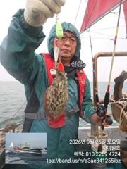 26일, 비는와도~군산주꾸미~갑이랑 잘 나오네요~실시간~군산낚시프라자 하이원호