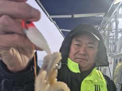 26일, 수중전 군산주꾸미~갑이랑 잘나오네요~갑이 씨알 좋아요~실시간~군산낚시프라자 나드리호