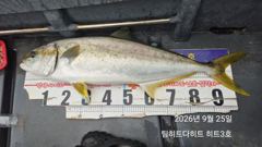 [거제] 선상흘림/긴꼬리벵에돔,참돔,슈퍼전갱이 3종셋트!!