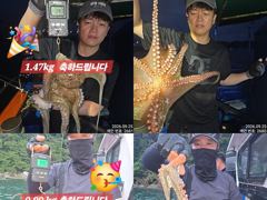 [진해] 25일 오늘도 계속올라와 퍼담듯 잡고온 Kg급및 굵직한 야간~돌…