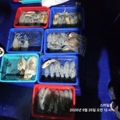 [거제] (내만 팁런)무늬 마릿수 폭팔~1.8K 갑이까지 스마일호(28일…
