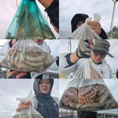 26일)문어 키로키로 마리수 조황 씨알좋습니다. 27일)잔여자리 있습니다.