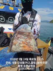 [통영] 통영 금정호 내일 오전문어 자리여유있습니다