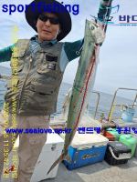 부시리 삼치 조황 입니다