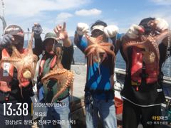 [진해] 돌문어 키로급들 내일예약중~