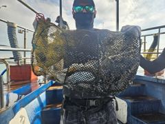 쭈갑조황 글만 보기