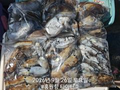 [홍원항타이탄호] 9월26일(토) 갑쭈 조황