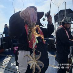 쭈꾸미~♪ 9 .26( 토요일 ) [[[ 무창포프로낚시 ]]] <<<<< 빅 마 린 >>>>> 쭈 꾸 미 조황보고....