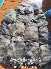 ☆ 9월 26일 마루호 쭈꾸미 최종조항~ ☆ 사진