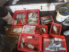 9월26일 무늬오징어 팁런조과입니다