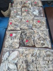 24일 오후