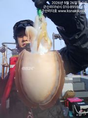 ⭐군산리더호 갑오징어 첫출조에 실시간 잘 나오네요⭐