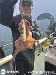 오늘야간문어 출동합니다 11자리여유