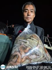 [사천] 오늘야간문어 출동합니다 11자리여유