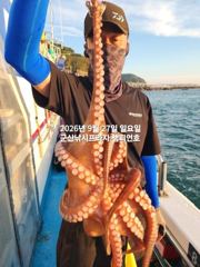 27일, 군산문어 덩치급 문어가 춤추네요~ㅎㅎ~오늘도 굿~실시간~군산낚시프라자 챔피언호