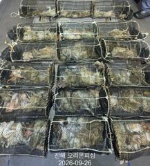 [진해] 야간문어!KK급 사이즈들포함 손맛 제대로 보고 왔습니다 ~내일예…