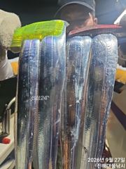 27일새벽,내만칼치~3지까지 텐빈1타1피 폭풍입질 퍼담고~일,월,화욜예약가능~