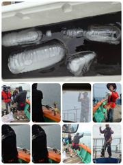 [포항] 실시간 27일주간반돌문어 쾅쾅