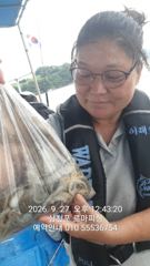 [사천] (주꾸미)빠른 조류 장원 70수 사이즈 좋네요~로마피싱(28일예…