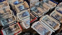 [진해] 내만칼치 소수인원이라도 무조건 달려보겠습니다~ 연락주세요~