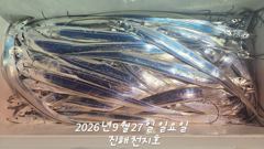 [진해] 27일 입항 내만 갈치 후반연장까지 올라와 손맛보고 철수!!(예…