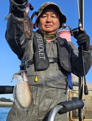 9월27일 8물 사리물에도 갑오징어 +쭈꾸미 쌍걸이로 망태기 빵빵한조황요~ (29일 30일 갑오징어위주 쭈꾸미 병행 정상출조 여유자리.) 갑오징어 잘~나옵니다.