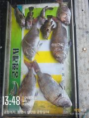 [곤리 풍화 궁항] 궁항레저 9월 27일 28일 조황입니다