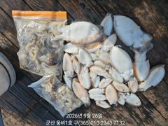 갑 주