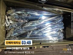 [갈치/텐빈/텐야]27일입항~만쿨자부터[오늘예약가능]