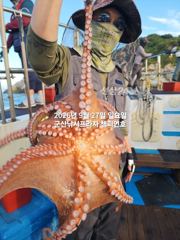 27일, 군산문어 덩치급 문어가 춤추네요~ㅎㅎ~오늘도 굿~실시간~군산낚시프라자 챔피언호