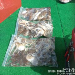 26일 오전반 쭈반 갑이반
