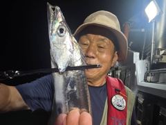 내만 갈치 엄청시리 많다 많아~~바글바글바글~~(오늘 예약 가능)