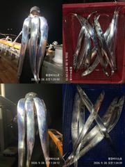[통영] 통영비너스....."3지 알지 "월명 관계없이 1타4~5피...…