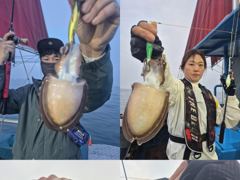 크라운호 갑오징어 실시간조황(28일) -내일 자리 있습니다 사진